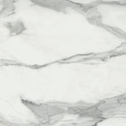 Invictus Natural 80x80