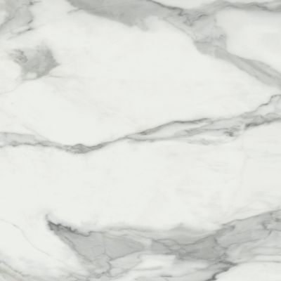 Invictus Natural 80x80