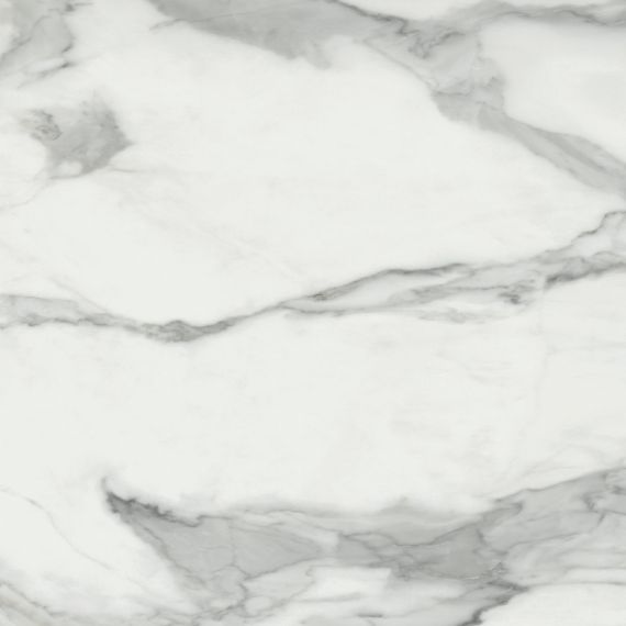 Invictus Natural 80x80