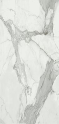 Invictus Pulido A 120x260