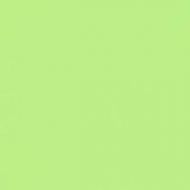 Iridium Verde Levigato 60x60
