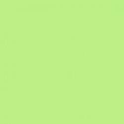 Iridium Verde Levigato 60x60