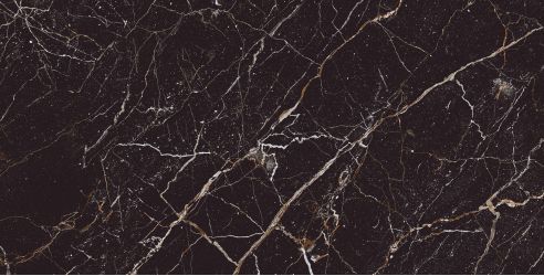 Iris Black 60x120