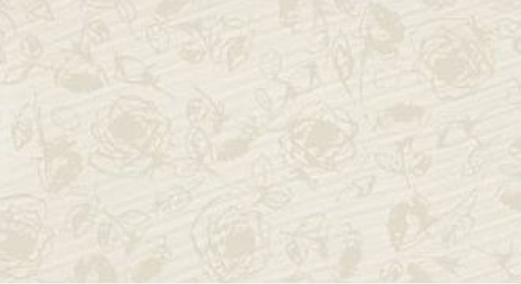 JCRL Swing Jazz Campitura Rose 30.5*56