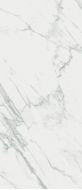 JW14 Statuario Venato Luc 6mm 120*278