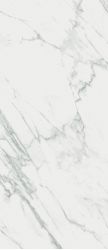 JW14 Statuario Venato Luc 6mm 120*278