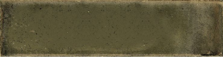 Jazba Olive Brillo 6х24.6