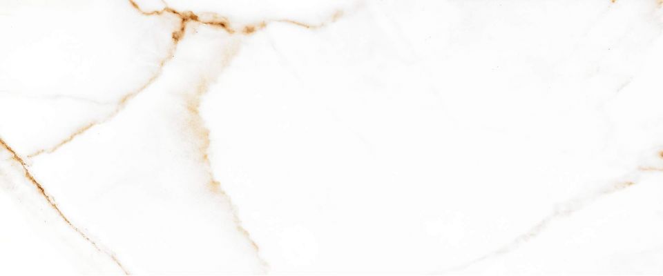 Joy white белый 01 25x60