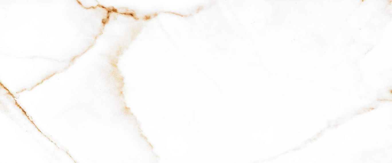 Joy white белый 01 25x60