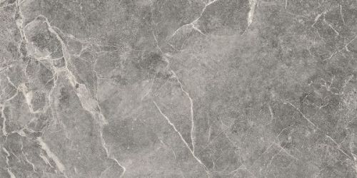 K-1006/MR Silver River 60x120