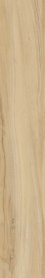 K-2101/SR Alleya 200x1200x10