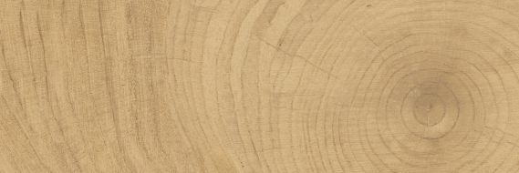 K-6012/SLR Time Ring HONEY 20x60