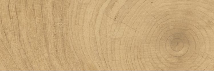 K-6012/SLR Time Ring HONEY 20x60