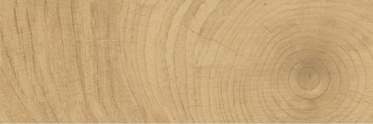 K-6012/SLR Time Ring HONEY 20x60