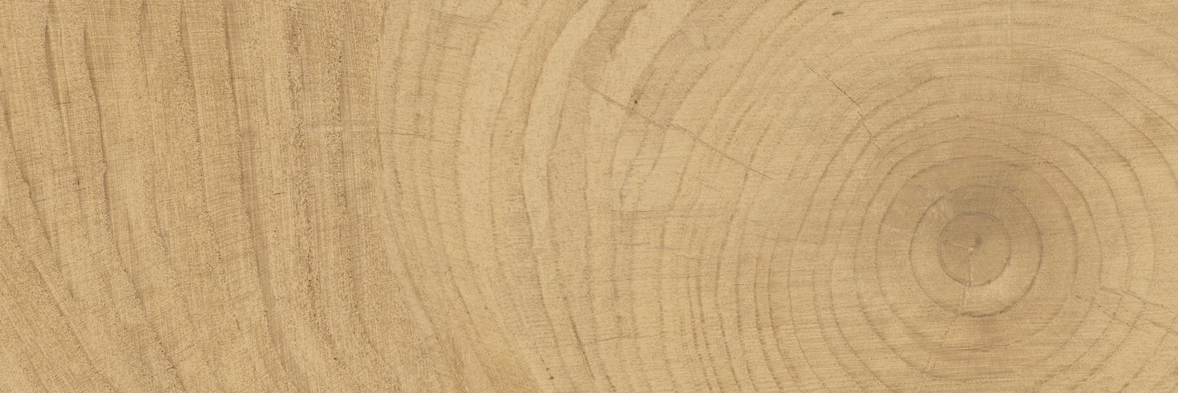 K-6012/SLR Time Ring HONEY 20x60