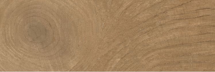 K-6013/SLR Time Ring BROWN 20x60