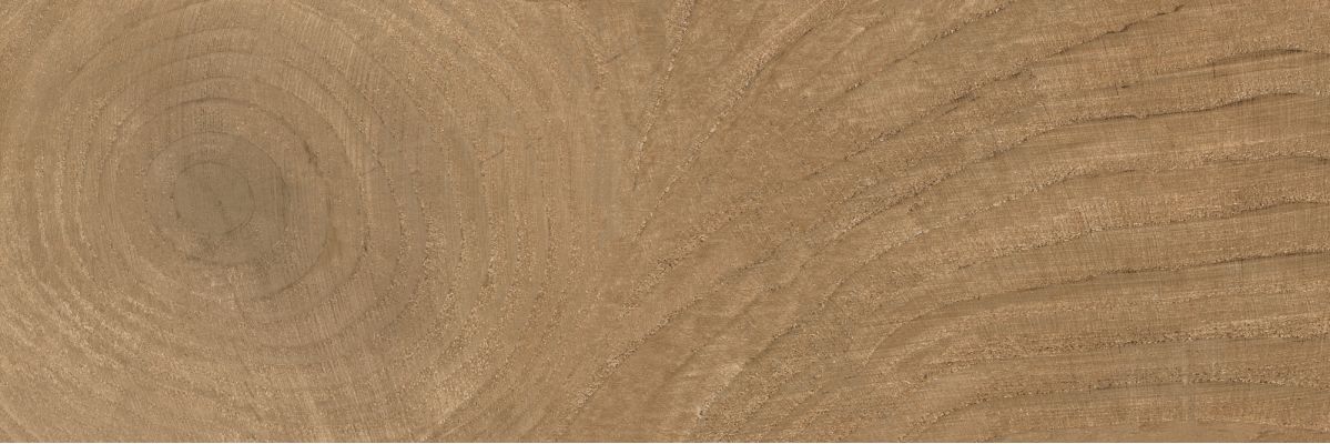 K-6013/SLR Time Ring BROWN 20x60
