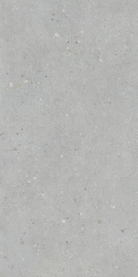 K947893R0001VTER Серый Матовый R10A Ректификат 60x120