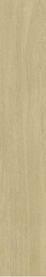 K947907R0001VTET Бежевый Матовый R10A Ректификат 20x120