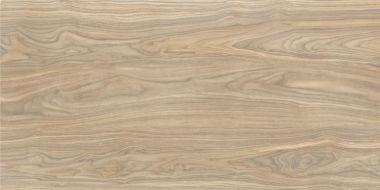 K949579R0001VTE0 Wood-X Орех Голд Терра Матовый R10A Ректификат 60x120