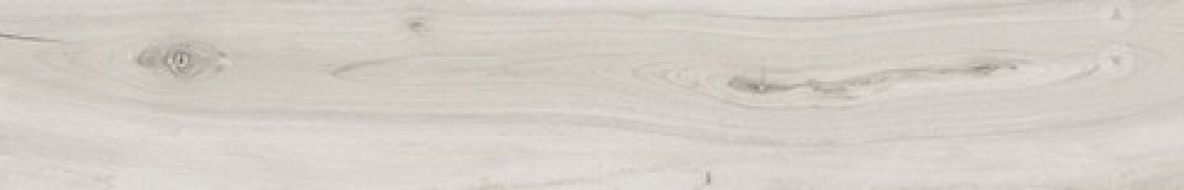 KAURI AWANUI LAP RETT 20x120