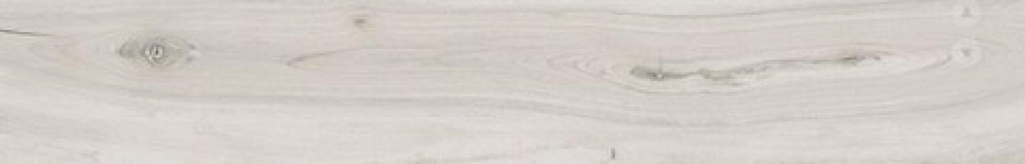 KAURI AWANUI LAP RETT 20x120