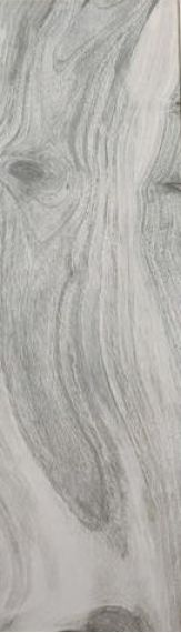 KAURI NELSON Lapp.Rett 20*120