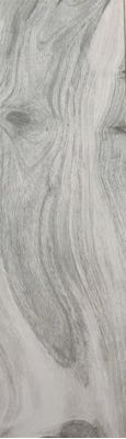 KAURI NELSON Nat.Ret. 20*120