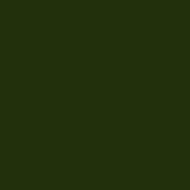 KINGDOM VERDE BOTELLA 20x20