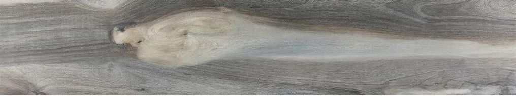 Kauri Azure Rectified 30x160