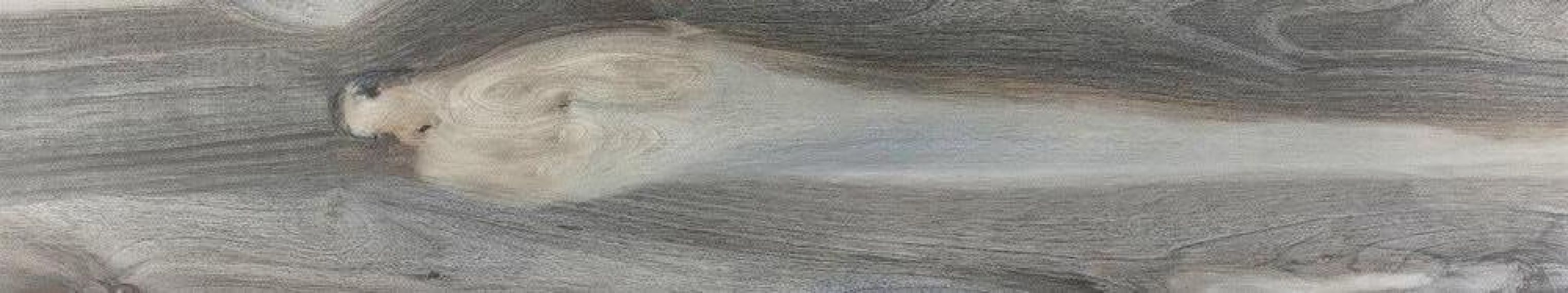 Kauri Azure Rectified 30x160