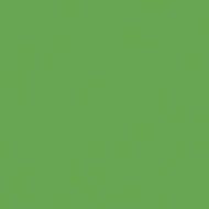 Kerama Marazzi SG924600N Керамогранит Гармония салатный 30х30