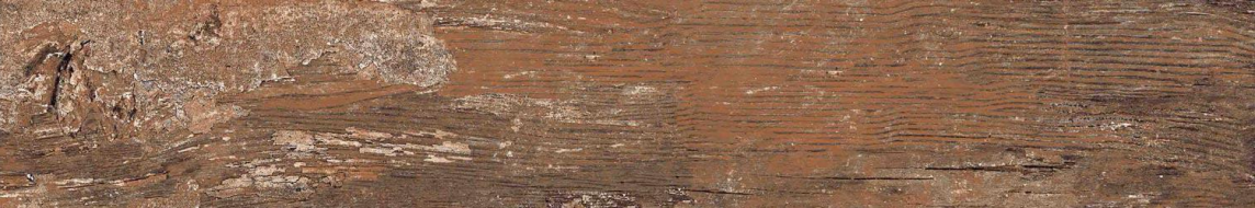 Kiwi Redroot Mat 20x120