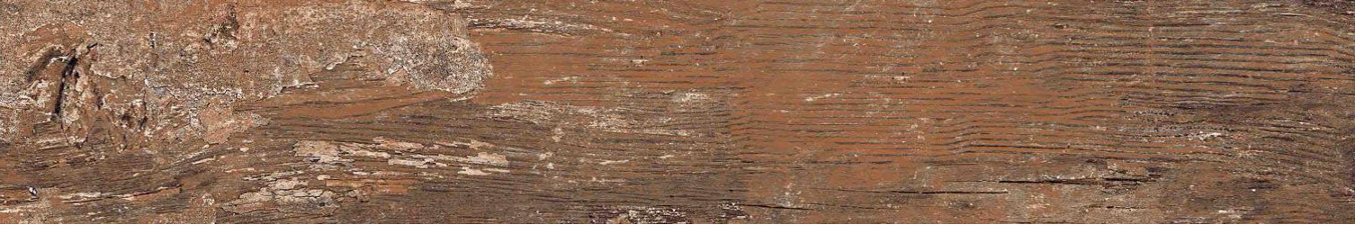 Kiwi Redroot Mat 20x120