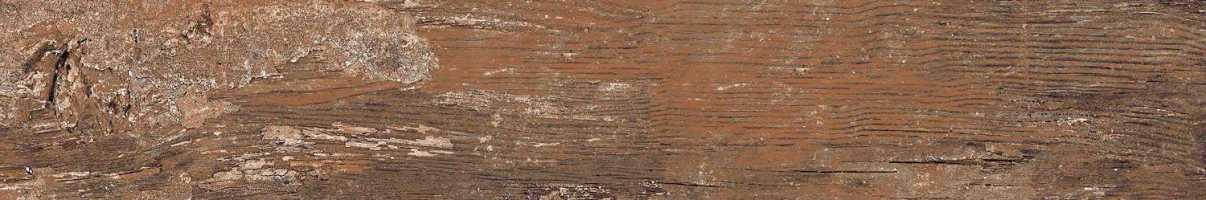 Kiwi Redroot Mat 20x120