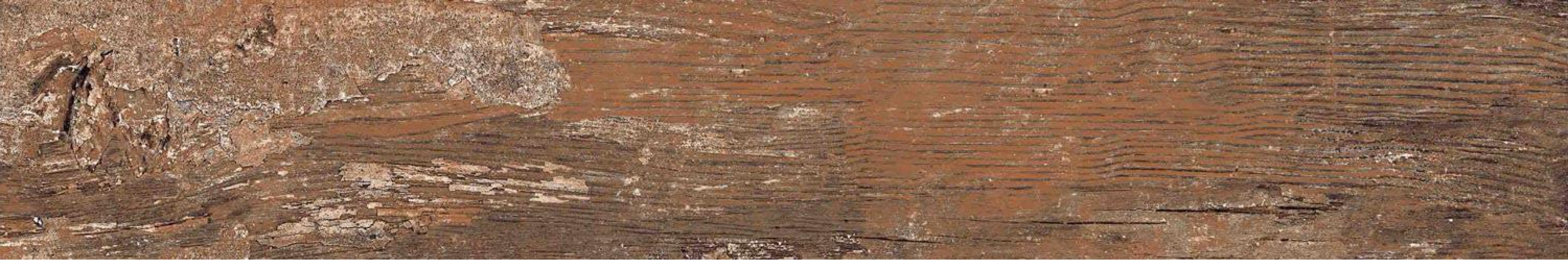 Kiwi Redroot Mat 20x120