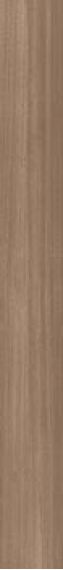 Koala 2018B RM Beige 20x180