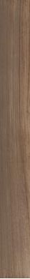 Koala 2018T RM Brown 20x180