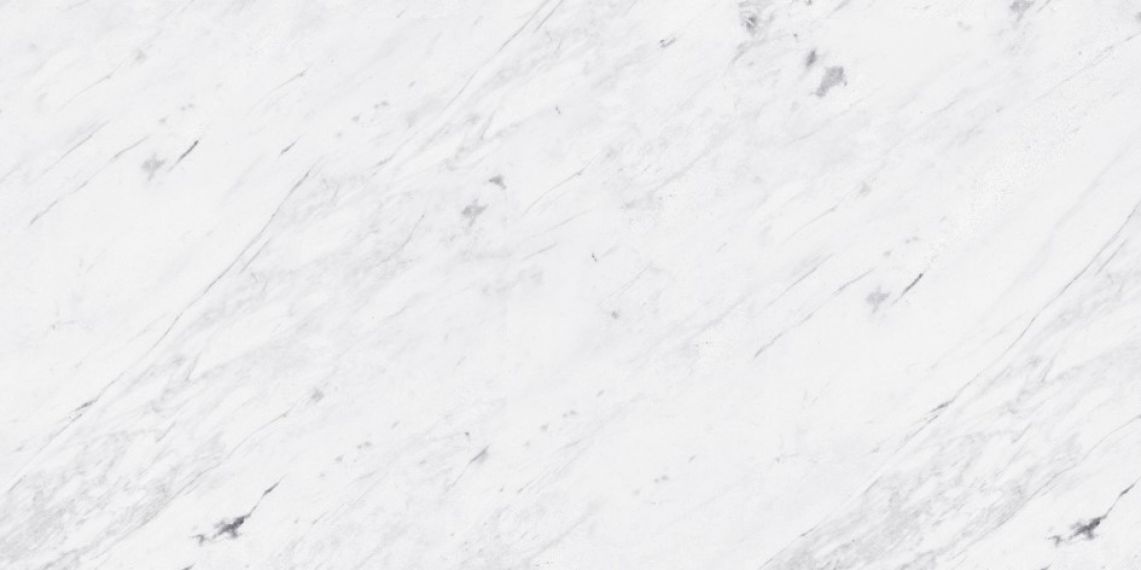 L108025891 PERSIAN WHITE Сlassico Bioprot 40x80