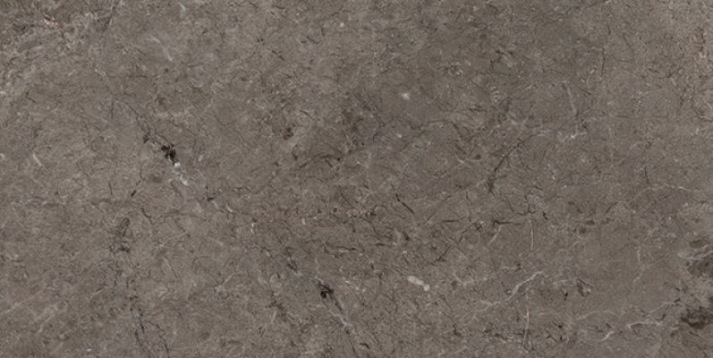 L108035361 Habana Grey Pulido 40x80