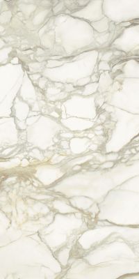 L315365MF6 CALACATTA ORO Luc 150x300