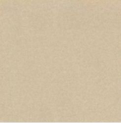 L4403-1Ch Yellow - Loose 10х10