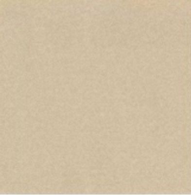 L4403-1Ch Yellow - Loose 10х10