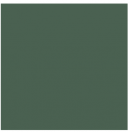 L4418-1Ch Green - Loose 10х10