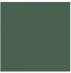 L4418-1Ch Green - Loose 10х10