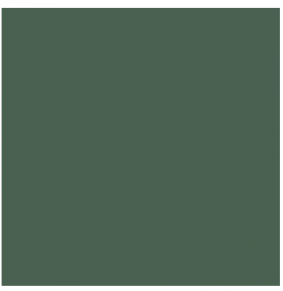 L4418-1Ch Green - Loose 10х10