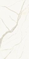 LAMFFM0099_IT Керамогранит I Naturali Calacatta Michelangelo Lucidato B.M. Face A 1620x3240x20.5