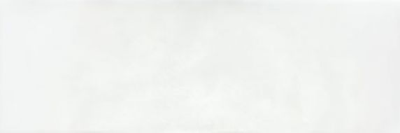 LEED BLANCO 20x60