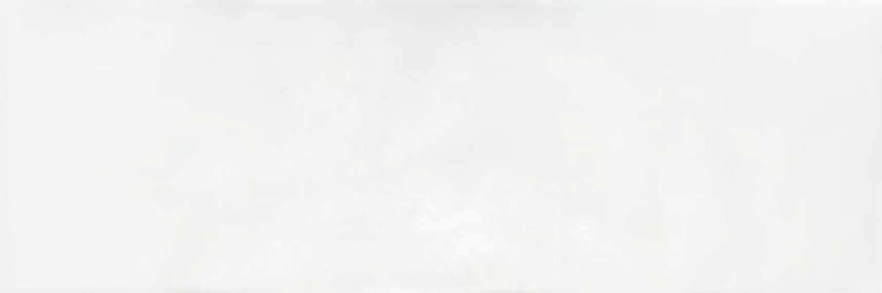 LEED BLANCO 20x60
