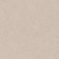 LF00 Loft неполированный 80x80x1.1